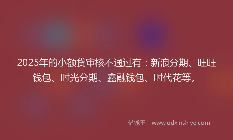 2025年的小额贷审核不通过有：新浪分期、旺旺钱包、时光分期、鑫融钱包、时代花等。