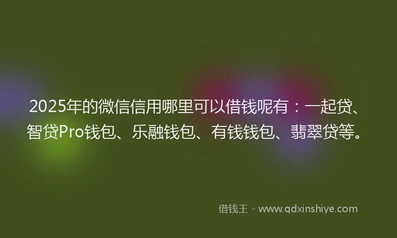 2025年的微信信用哪里可以借钱呢有：一起贷、智贷Pro钱包、乐融钱包、有钱钱包、翡翠贷等。