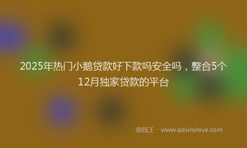 2025年热门小鹅贷款好下款吗安全吗，整合5个12月独家贷款的平台