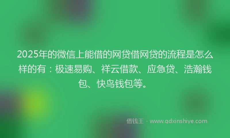 2025年的微信上能借的网贷借网贷的流程是怎么样的有：极速易购、祥云借款、应急贷、浩瀚钱包、快鸟钱包等。