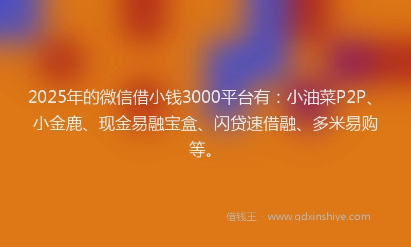 2025年的微信借小钱3000平台有：小油菜P2P、小金鹿、现金易融宝盒、闪贷速借融、多米易购等。
