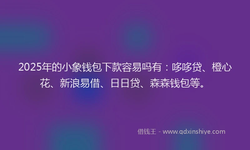 2025年的小象钱包下款容易吗有：哆哆贷、橙心花、新浪易借、日日贷、森森钱包等。