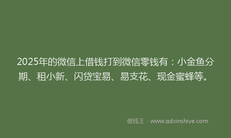 2025年的微信上借钱打到微信零钱有：小金鱼分期、租小新、闪贷宝易、易支花、现金蜜蜂等。