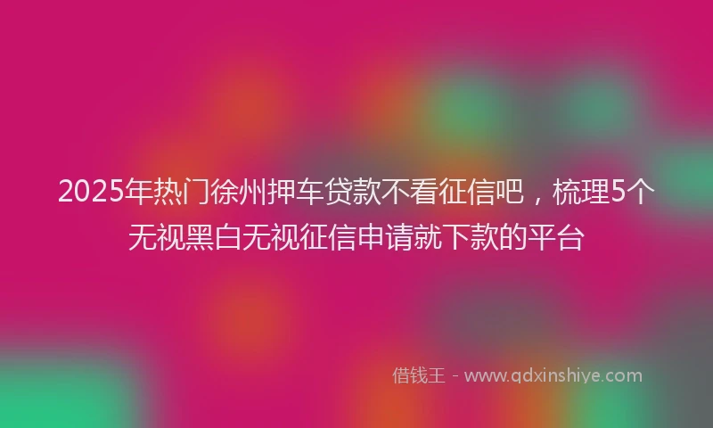 2025年热门徐州押车贷款不看征信吧，梳理5个无视黑白无视征信申请就下款的平台