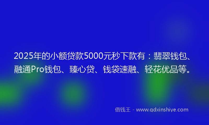 2025年的小额贷款5000元秒下款有：翡翠钱包、融通Pro钱包、臻心贷、钱袋速融、轻花优品等。