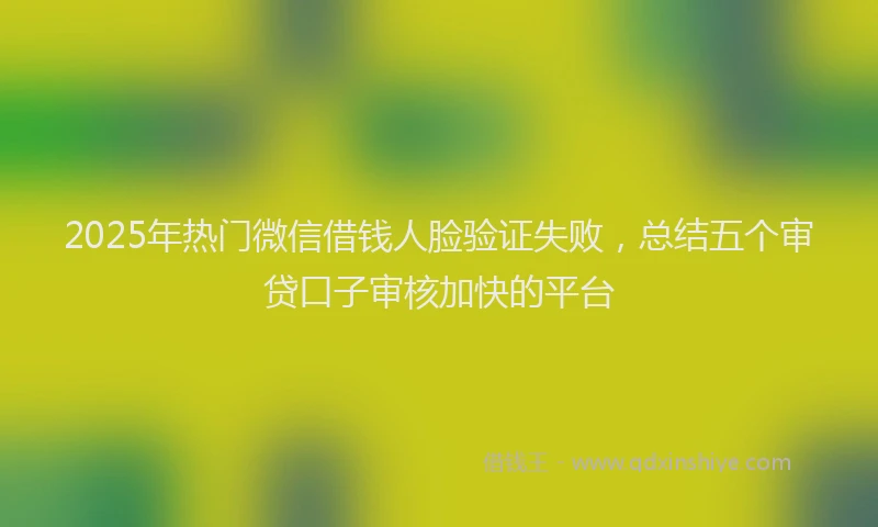 2025年热门微信借钱人脸验证失败，总结五个审贷口子审核加快的平台