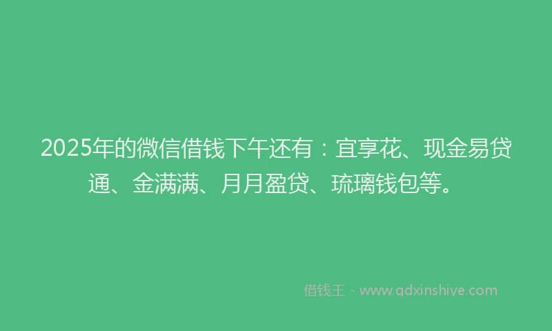 2025年的微信借钱下午还有：宜享花、现金易贷通、金满满、月月盈贷、琉璃钱包等。