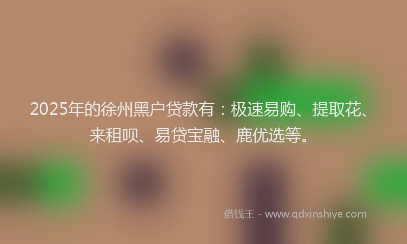 2025年的徐州黑户贷款有：极速易购、提取花、来租呗、易贷宝融、鹿优选等。