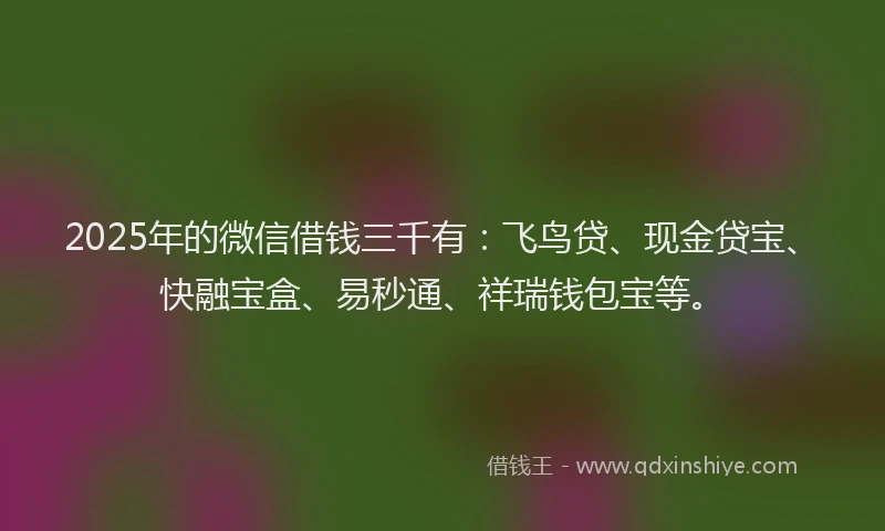 2025年的微信借钱三千有：飞鸟贷、现金贷宝、快融宝盒、易秒通、祥瑞钱包宝等。