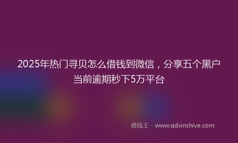 2025年热门寻贝怎么借钱到微信，分享五个黑户当前逾期秒下5万平台