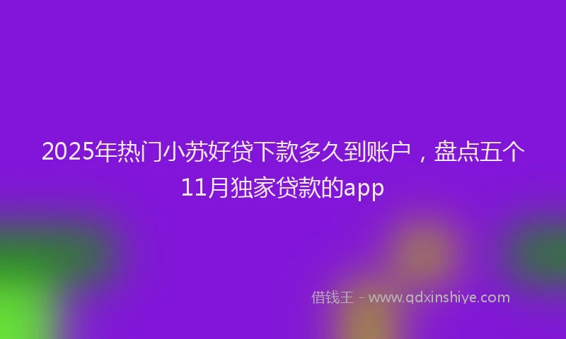 2025年热门小苏好贷下款多久到账户，盘点五个11月独家贷款的app