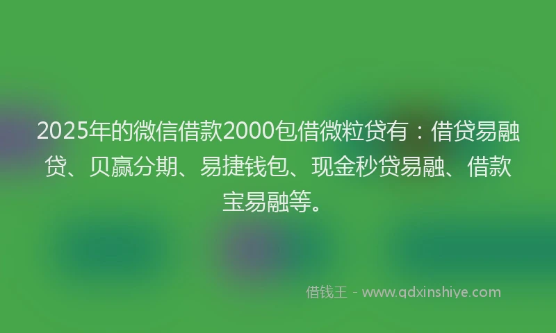 2025年的微信借款2000包借微粒贷有：借贷易融贷、贝赢分期、易捷钱包、现金秒贷易融、借款宝易融等。