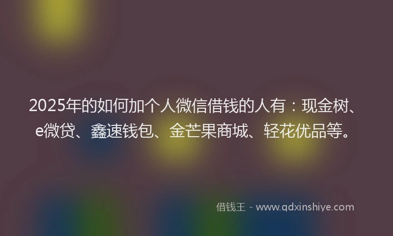 2025年的如何加个人微信借钱的人有：现金树、e微贷、鑫速钱包、金芒果商城、轻花优品等。