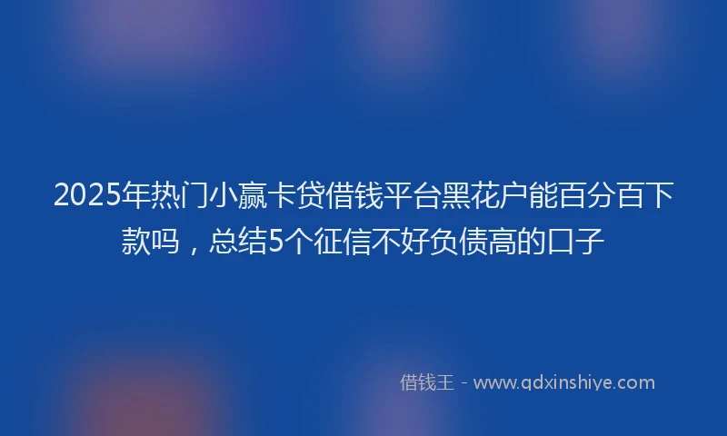 2025年热门小赢卡贷借钱平台黑花户能百分百下款吗，总结5个征信不好负债高的口子