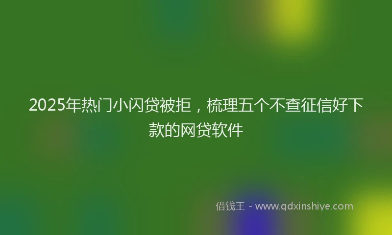 2025年热门小闪贷被拒，梳理五个不查征信好下款的网贷软件