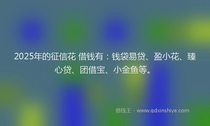 2025年的征信花 借钱有：钱袋易贷、盈小花、臻心贷、团借宝、小金鱼等。