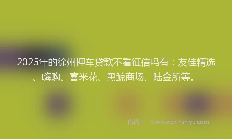 2025年的徐州押车贷款不看征信吗有：友佳精选、嗨购、喜米花、黑鲸商场、陆金所等。