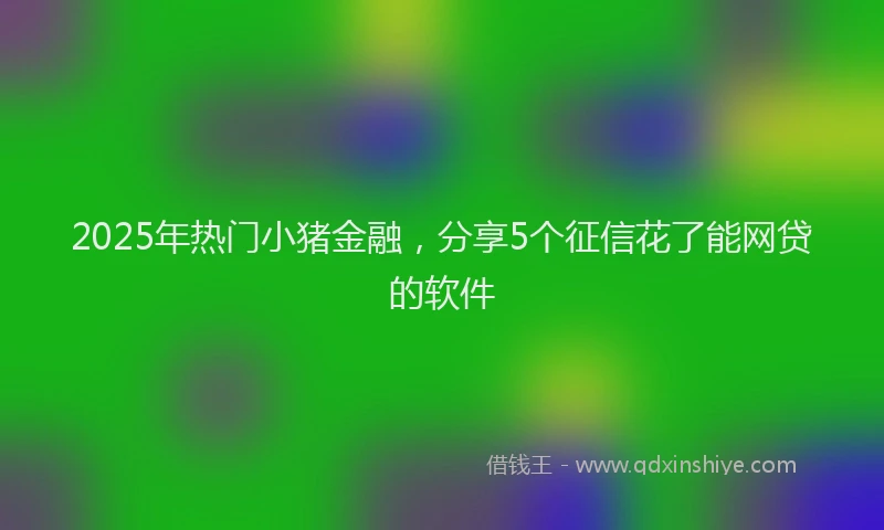 2025年热门小猪金融，分享5个征信花了能网贷的软件