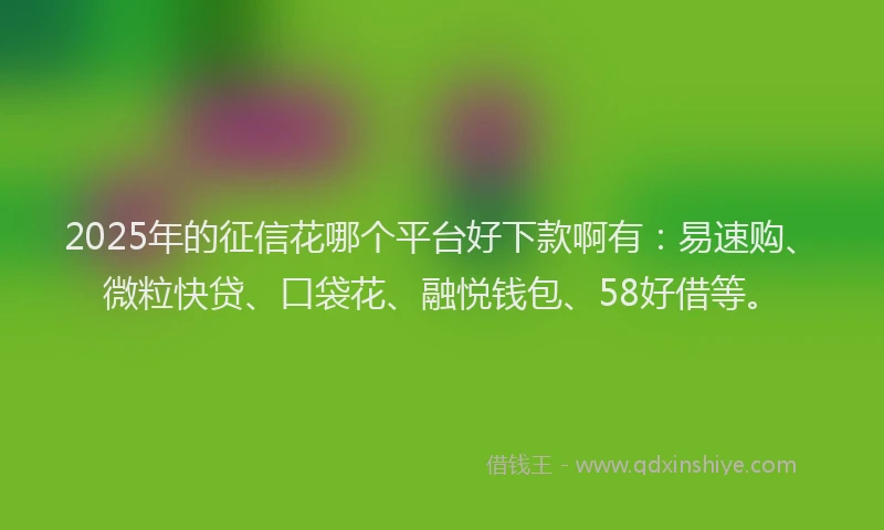 2025年的征信花哪个平台好下款啊有：易速购、微粒快贷、口袋花、融悦钱包、58好借等。
