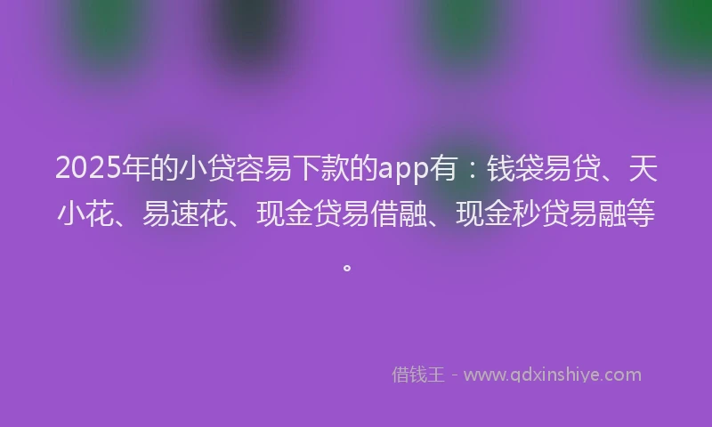 2025年的小贷容易下款的app有：钱袋易贷、天小花、易速花、现金贷易借融、现金秒贷易融等。