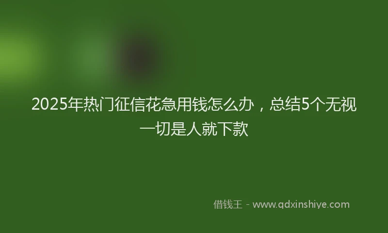 2025年热门征信花急用钱怎么办，总结5个无视一切是人就下款