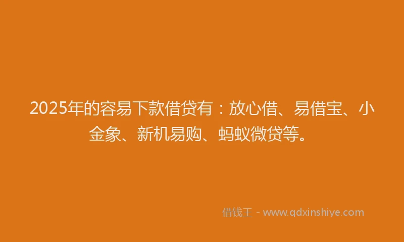 2025年的容易下款借贷有：放心借、易借宝、小金象、新机易购、蚂蚁微贷等。