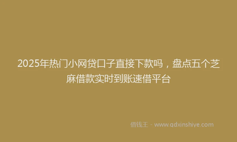 2025年热门小网贷口子直接下款吗，盘点五个芝麻借款实时到账速借平台