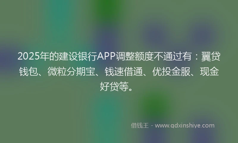 2025年的建设银行APP调整额度不通过有：翼贷钱包、微粒分期宝、钱速借通、优投金服、现金好贷等。