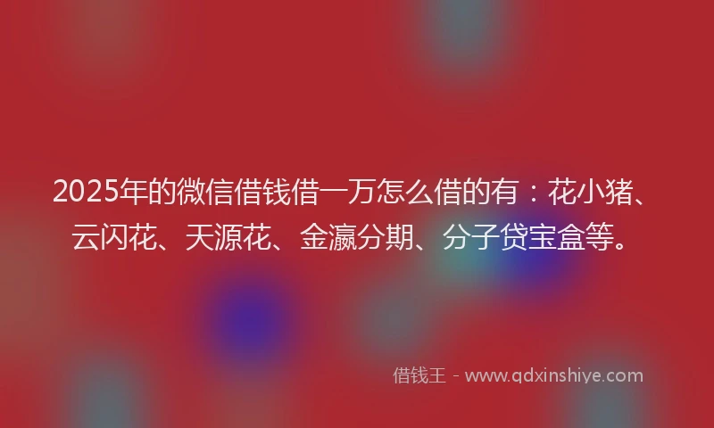 2025年的微信借钱借一万怎么借的有：花小猪、云闪花、天源花、金瀛分期、分子贷宝盒等。