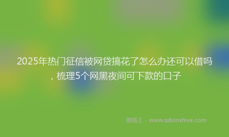 2025年热门征信被网贷搞花了怎么办还可以借吗，梳理5个网黑夜间可下款的口子
