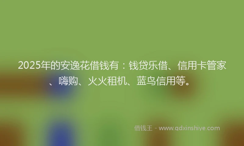 2025年的安逸花借钱有：钱贷乐借、信用卡管家、嗨购、火火租机、蓝鸟信用等。