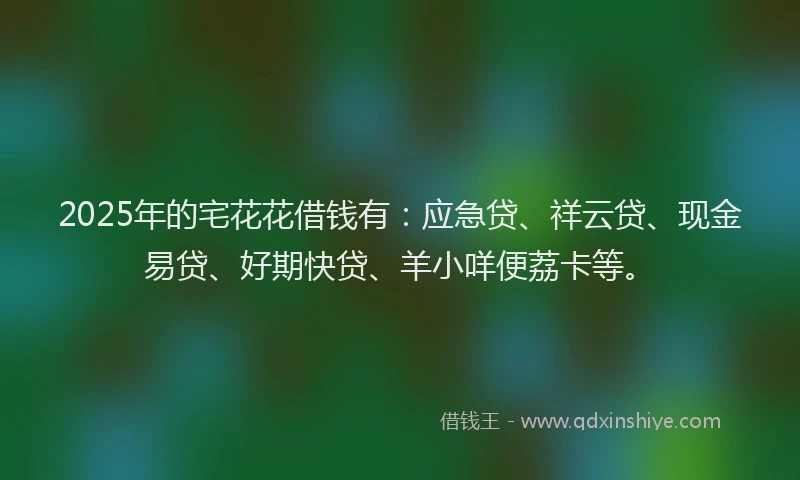 2025年的宅花花借钱有：应急贷、祥云贷、现金易贷、好期快贷、羊小咩便荔卡等。