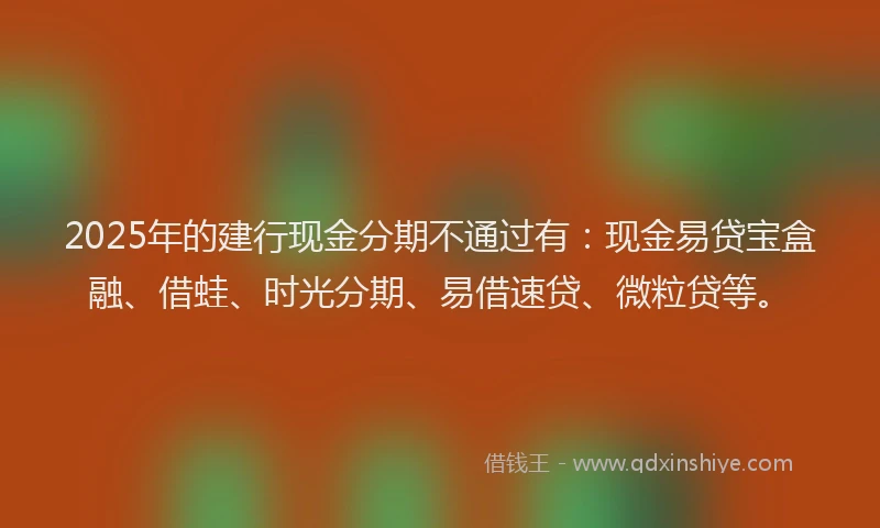 2025年的建行现金分期不通过有：现金易贷宝盒融、借蛙、时光分期、易借速贷、微粒贷等。
