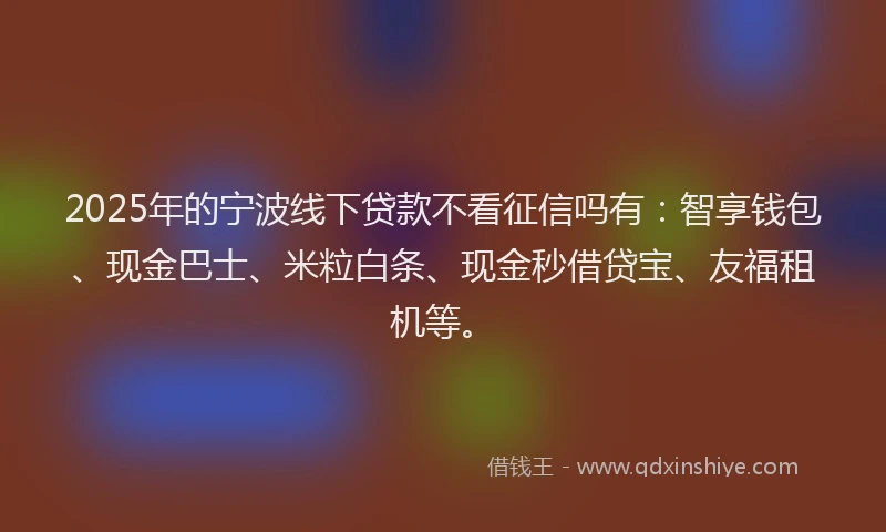 2025年的宁波线下贷款不看征信吗有：智享钱包、现金巴士、米粒白条、现金秒借贷宝、友福租机等。