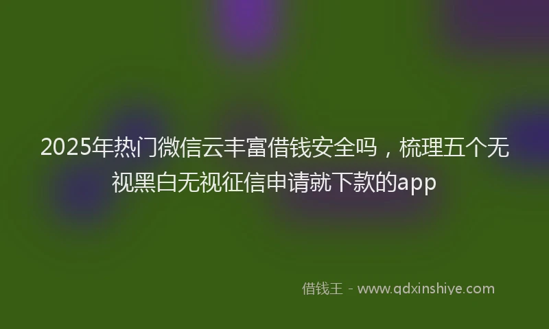 2025年热门微信云丰富借钱安全吗，梳理五个无视黑白无视征信申请就下款的app