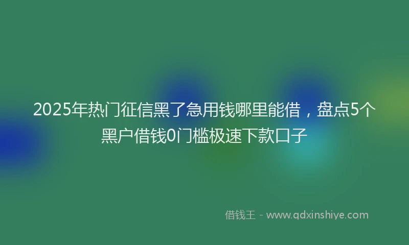 2025年热门征信黑了急用钱哪里能借，盘点5个黑户借钱0门槛极速下款口子