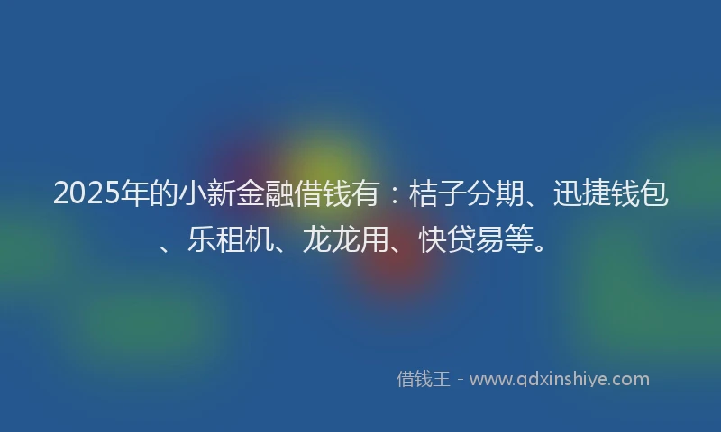 2025年的小新金融借钱有：桔子分期、迅捷钱包、乐租机、龙龙用、快贷易等。