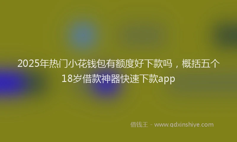 2025年热门小花钱包有额度好下款吗，概括五个18岁借款神器快速下款app