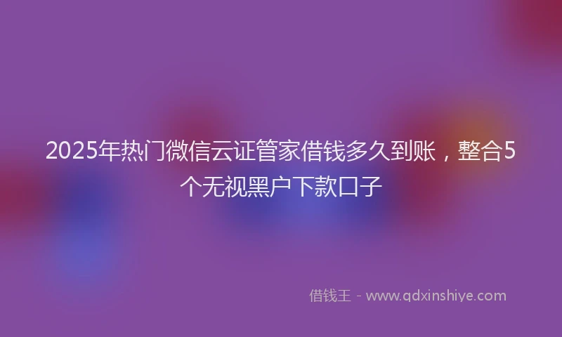 2025年热门微信云证管家借钱多久到账，整合5个无视黑户下款口子