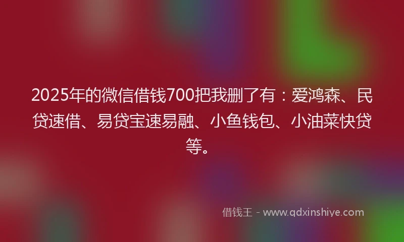 2025年的微信借钱700把我删了有：爱鸿森、民贷速借、易贷宝速易融、小鱼钱包、小油菜快贷等。