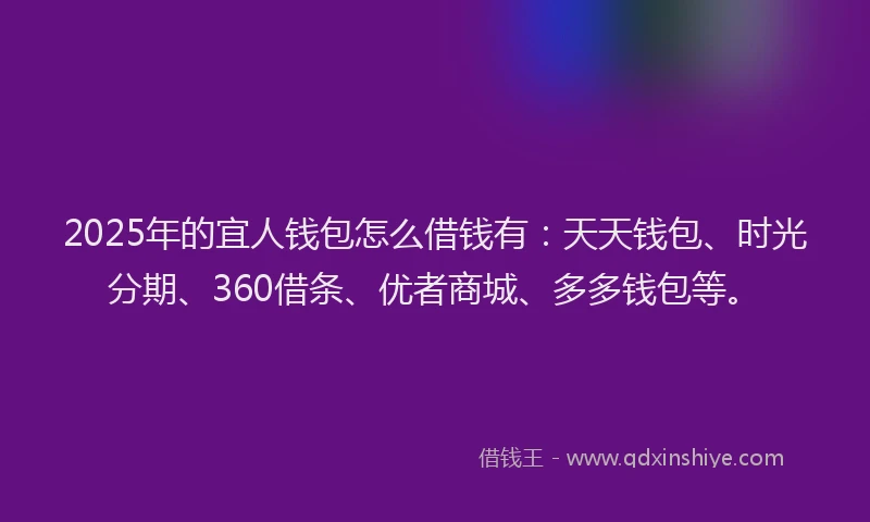 2025年的宜人钱包怎么借钱有：天天钱包、时光分期、360借条、优者商城、多多钱包等。