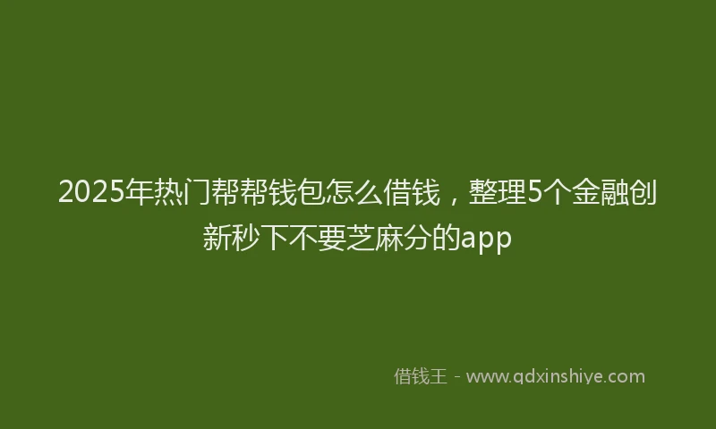 2025年热门帮帮钱包怎么借钱，整理5个金融创新秒下不要芝麻分的app