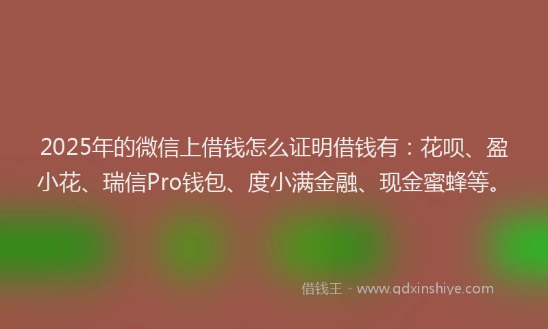 2025年的微信上借钱怎么证明借钱有：花呗、盈小花、瑞信Pro钱包、度小满金融、现金蜜蜂等。