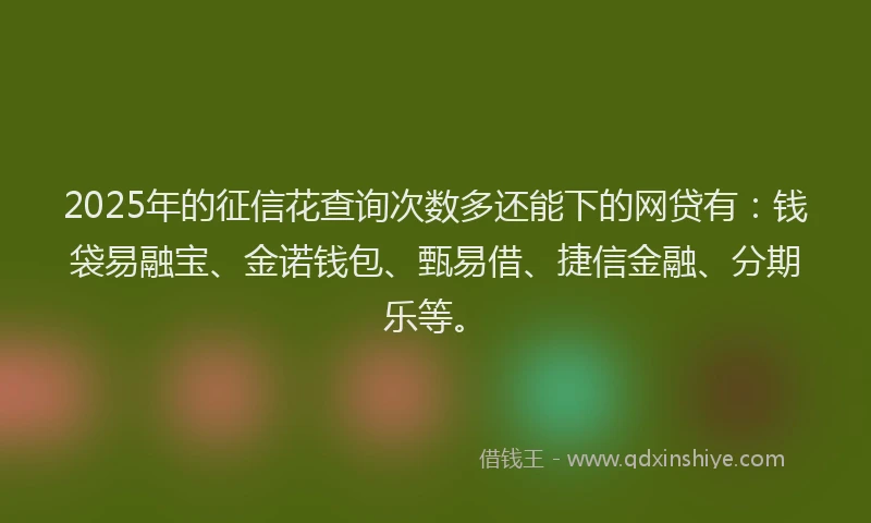 2025年的征信花查询次数多还能下的网贷有：钱袋易融宝、金诺钱包、甄易借、捷信金融、分期乐等。