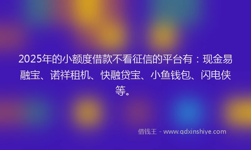 2025年的小额度借款不看征信的平台有：现金易融宝、诺祥租机、快融贷宝、小鱼钱包、闪电侠等。
