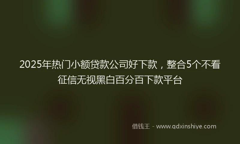 2025年热门小额贷款公司好下款，整合5个不看征信无视黑白百分百下款平台