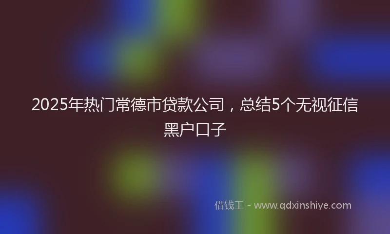 2025年热门常德市贷款公司，总结5个无视征信黑户口子