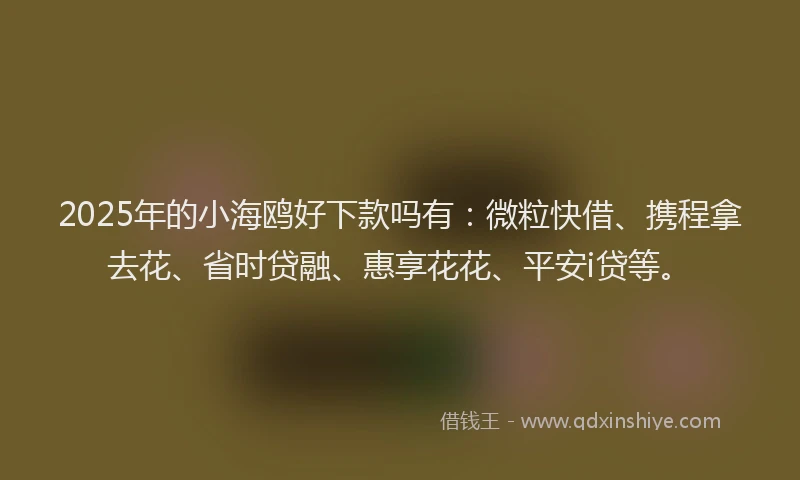 2025年的小海鸥好下款吗有：微粒快借、携程拿去花、省时贷融、惠享花花、平安i贷等。