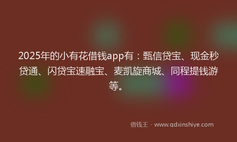 2025年的小有花借钱app有：甄信贷宝、现金秒贷通、闪贷宝速融宝、麦凯旋商城、同程提钱游等。