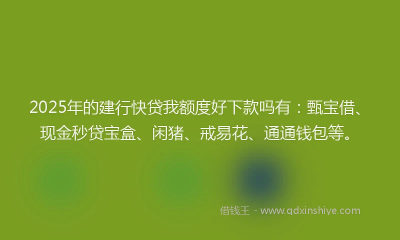2025年的建行快贷我额度好下款吗有：甄宝借、现金秒贷宝盒、闲猪、戒易花、通通钱包等。
